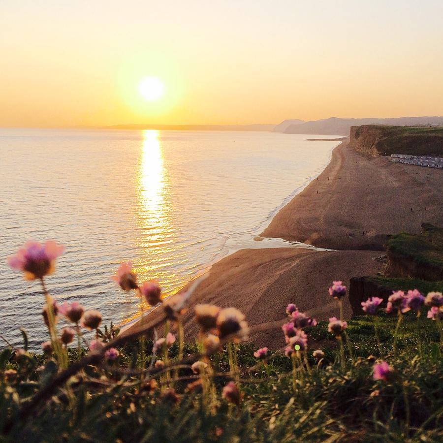 The Seaside Boarding House Hotel Burton Bradstock Buitenkant foto